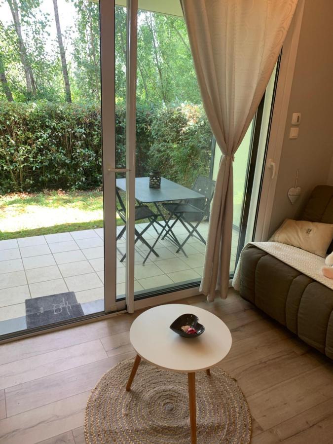 Apartment Domaine Du Castelgreen Rivieres (Tarn)